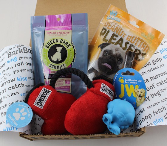 barkbox monthly delivery